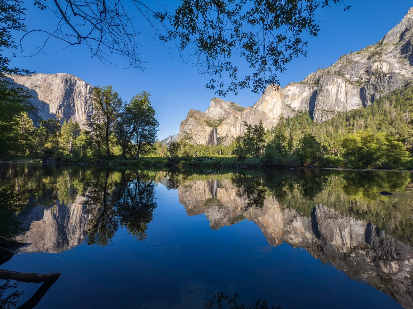 Granite cliffs and trees in Yosemite Valley reflected in calm water under a clear blue sky
